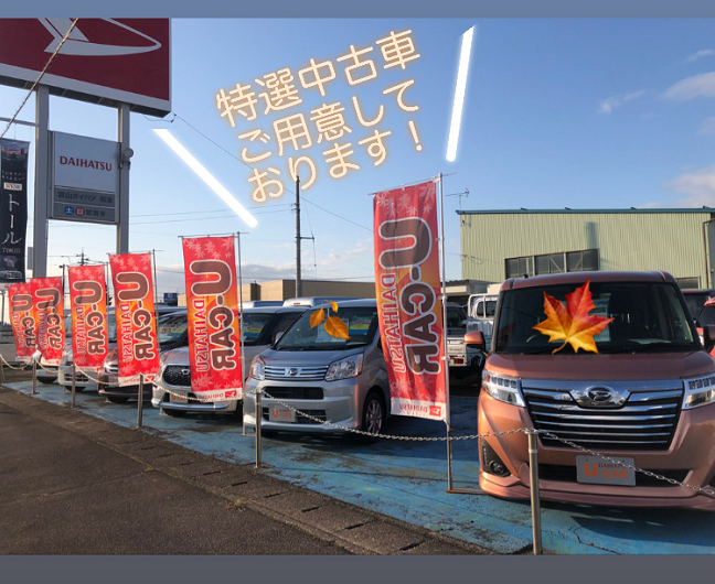 11月特選中古車情報 ブログ 砺波店 富山ダイハツ販売株式会社 富山県のダイハツ正規ディーラー