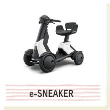 e-SNEAKER